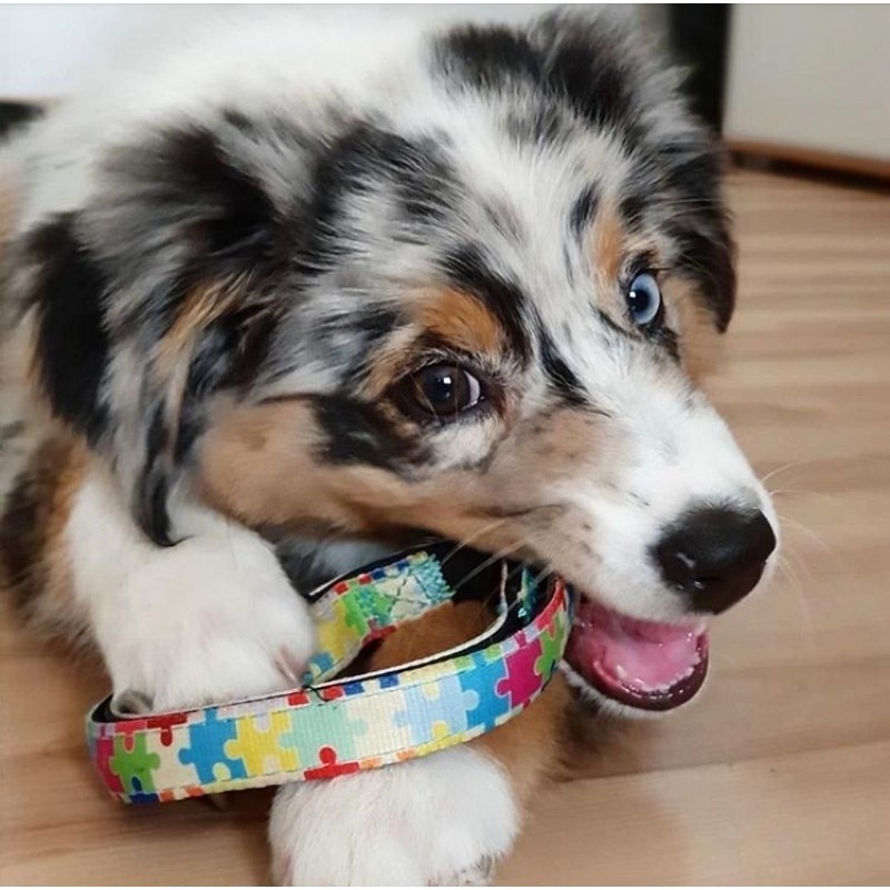 Max & Molly Μπρελόκ Puzzle Tag 17,5cm ΕΙΔΗ ΑΥΤΟΚΙΝΗΤΟΥ ΚΑΙ ΤΑΞΙΔΙΟΥ Max & Molly Μπρελόκ Puzzle Tag 17,5cm ΕΙΔΗ ΑΥΤΟΚΙΝΗΤΟΥ ΚΑΙ ΤΑΞΙΔΙΟΥ
