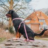 Max & Molly Μπρελόκ Retro Pink Tag 17,5cm ΕΙΔΗ ΑΥΤΟΚΙΝΗΤΟΥ ΚΑΙ ΤΑΞΙΔΙΟΥ Max & Molly Μπρελόκ Retro Pink Tag 17,5cm ΕΙΔΗ ΑΥΤΟΚΙΝΗΤΟΥ ΚΑΙ ΤΑΞΙΔΙΟΥ