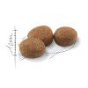 Royal Canin Cat Sterilised 4kg ΓΑΤΕΣ Royal Canin Cat Sterilised 4kg ΓΑΤΕΣ