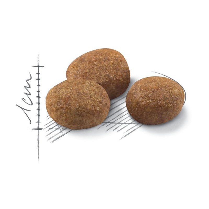Royal Canin Cat Sterilised +7 1,5kg ΓΑΤΕΣ Royal Canin Cat Sterilised +7 1,5kg ΓΑΤΕΣ