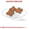 Royal canin Adult Mini 2kg ΣΚΥΛΟΙ Royal canin Adult Mini 2kg ΣΚΥΛΟΙ