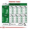 Royal canin Adult Mini 2kg ΣΚΥΛΟΙ Royal canin Adult Mini 2kg ΣΚΥΛΟΙ