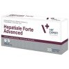 Hepatiale Advanced Ηπατοπροστατευτικό συμπλήρωμα διατροφής για σκύλους και γάτες 30 tabs ΘΕΡΑΠΕΥΤΙΚΑ ΣΚΕΥΑΣΜΑΤΑ ΣΚΥΛΟΥ Hepatiale Advanced Ηπατοπροστατευτικό συμπλήρωμα διατροφής για σκύλους και γάτες 30 tabs ΘΕΡΑΠΕΥΤΙΚΑ ΣΚΕΥΑΣΜΑΤΑ ΣΚΥΛΟΥ