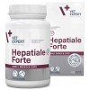Hepatiale Forte Ηπατοπροστατευτικό συμπλήρωμα διατροφής για μικρόσωμους σκύλους και γάτες 40 κάψουλες ΘΕΡΑΠΕΥΤΙΚΑ ΣΚΕΥΑΣΜΑΤΑ ΣΚΥΛΟΥ