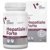 Hepatiale Forte Ηπατοπροστατευτικό συμπλήρωμα διατροφής για μικρόσωμους σκύλους και γάτες 40 κάψουλες ΘΕΡΑΠΕΥΤΙΚΑ ΣΚΕΥΑΣΜΑΤΑ ΣΚΥΛΟΥ Hepatiale Forte Ηπατοπροστατευτικό συμπλήρωμα διατροφής για μικρόσωμους σκύλους και γάτες 40 κάψουλες ΘΕΡΑΠΕΥΤΙΚΑ ΣΚΕΥΑΣΜΑΤΑ ΣΚΥΛΟΥ