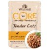 Wellness Core Tender Cuts Fillets Κοτόπουλο & Συκώτι Κοτόπουλου σε σάλτσα 24 x 85gr ΥΓΡΗ ΤΡΟΦΗ -  ΚΟΝΣΕΡΒΕΣ ΓΑΤΑΣ
