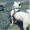Max & Molly Μπρελόκ Zebra Tag 17,5cm ΕΙΔΗ ΑΥΤΟΚΙΝΗΤΟΥ ΚΑΙ ΤΑΞΙΔΙΟΥ Max & Molly Μπρελόκ Zebra Tag 17,5cm ΕΙΔΗ ΑΥΤΟΚΙΝΗΤΟΥ ΚΑΙ ΤΑΞΙΔΙΟΥ