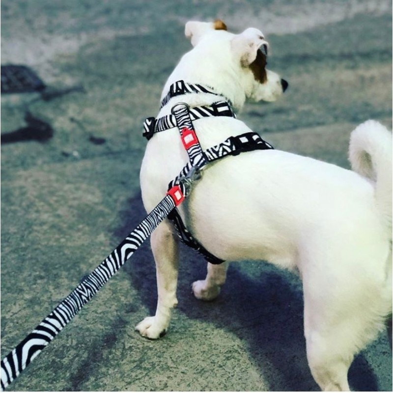 Max & Molly Μπρελόκ Zebra Tag 17,5cm ΕΙΔΗ ΑΥΤΟΚΙΝΗΤΟΥ ΚΑΙ ΤΑΞΙΔΙΟΥ