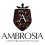 AMBROSIA GRAIN FREE HOLISTIC