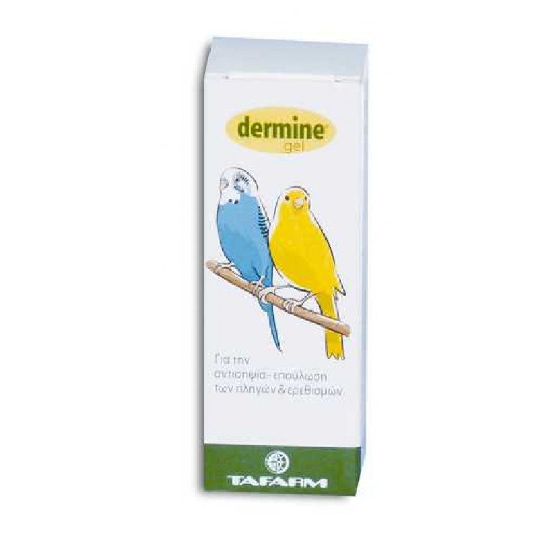 TAFARM DERMINE GEL 4ML ΘΕΡΑΠΕΥΤΙΚΑ ΣΚΕΥΑΣΜΑΤΑ ΓΙΑ ΠΟΥΛΙΑ TAFARM DERMINE GEL 4ML ΘΕΡΑΠΕΥΤΙΚΑ ΣΚΕΥΑΣΜΑΤΑ ΓΙΑ ΠΟΥΛΙΑ