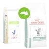 ROYAL CANIN DIABETIC CAT 1.5Kg ΞΗΡΑ ΤΡΟΦΗ ΓΑΤΑΣ ROYAL CANIN DIABETIC CAT 1.5Kg ΞΗΡΑ ΤΡΟΦΗ ΓΑΤΑΣ