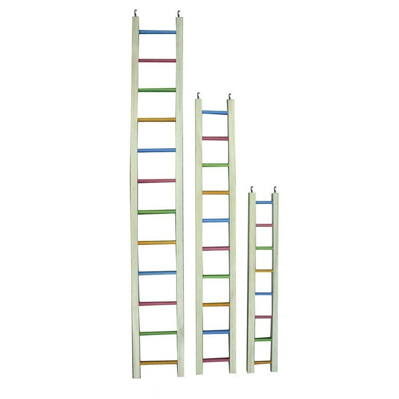Παιχνίδι Αναρρίχησης Πουλιών Wooden Ladder Multicolor 61cm ΠΟΥΛΙΑ Παιχνίδι Αναρρίχησης Πουλιών Wooden Ladder Multicolor 61cm ΠΟΥΛΙΑ