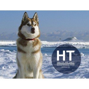 HT DOG FOOD