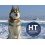 HT DOG FOOD