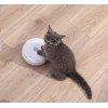 Παιχνίδι Γάτας Homerun Smart Cat Disc 17,5cm ΠΑΙΧΝΙΔΙΑ ΓΑΤΑΣ Παιχνίδι Γάτας Homerun Smart Cat Disc 17,5cm ΠΑΙΧΝΙΔΙΑ ΓΑΤΑΣ