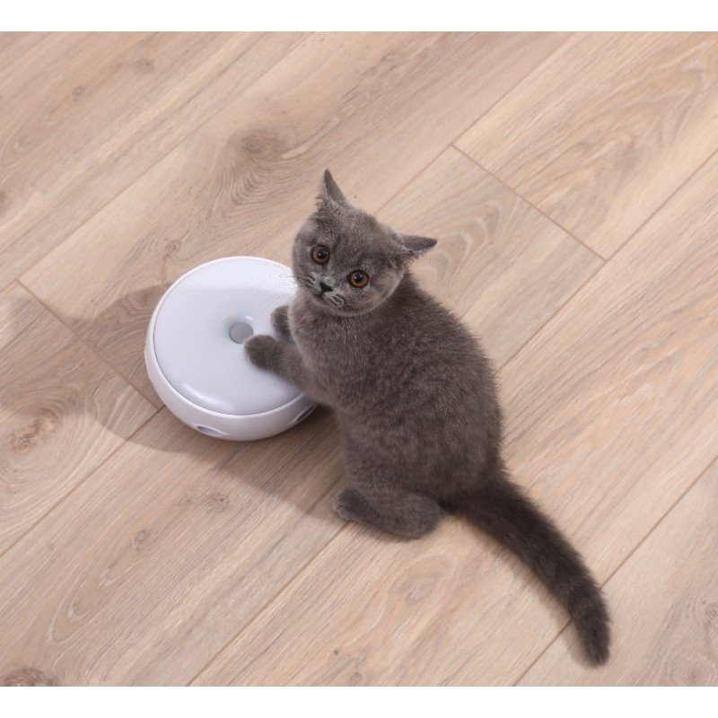 Παιχνίδι Γάτας Homerun Smart Cat Disc 17,5cm ΠΑΙΧΝΙΔΙΑ ΓΑΤΑΣ Παιχνίδι Γάτας Homerun Smart Cat Disc 17,5cm ΠΑΙΧΝΙΔΙΑ ΓΑΤΑΣ