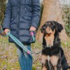 Max & Molly Μπρελόκ Retro Blue Tag 17,5cm ΕΙΔΗ ΑΥΤΟΚΙΝΗΤΟΥ ΚΑΙ ΤΑΞΙΔΙΟΥ Max & Molly Μπρελόκ Retro Blue Tag 17,5cm ΕΙΔΗ ΑΥΤΟΚΙΝΗΤΟΥ ΚΑΙ ΤΑΞΙΔΙΟΥ