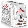 Royal Canin Cat Gastro Intestinal pouch 85gr ΥΓΡΗ ΤΡΟΦΗ -  ΚΟΝΣΕΡΒΕΣ ΓΑΤΑΣ