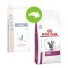 ROYAL CANIN RENAL CAT 2Kg ΓΑΤΕΣ ROYAL CANIN RENAL CAT 2Kg ΓΑΤΕΣ