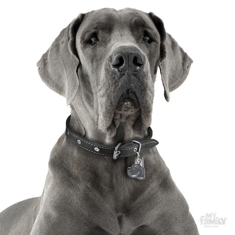 ΤΑΥΤΟΤΗΤΑ ΣΚΥΛΟΥ MY FAMILY BLUE GREAT DANE ΤΑΥΤΟΤΗΤΕΣ ΤΑΥΤΟΤΗΤΑ ΣΚΥΛΟΥ MY FAMILY BLUE GREAT DANE ΤΑΥΤΟΤΗΤΕΣ