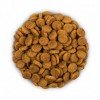 Hill's Prescription Diet i/d Digestive Care Για Σκύλους Με Κοτόπουλο 1,5kg (1,2kg + 300gr Δώρο) ΣΚΥΛΟΙ Hill's Prescription Diet i/d Digestive Care Για Σκύλους Με Κοτόπουλο 1,5kg (1,2kg + 300gr Δώρο) ΣΚΥΛΟΙ