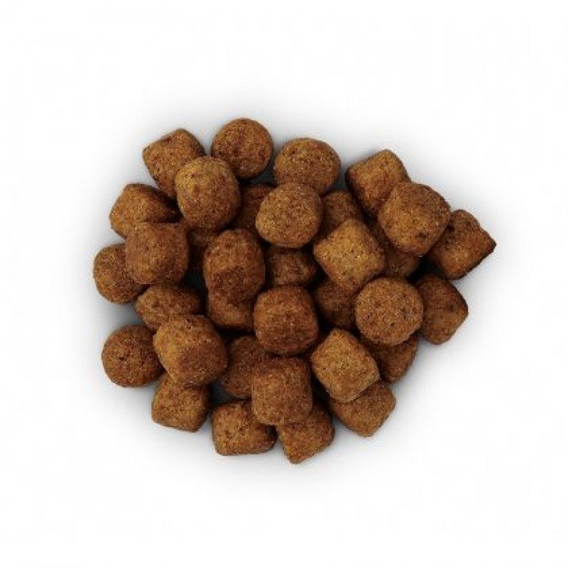 Hill's Prescription Diet j/d Joint Care Για Σκύλους Με Κοτόπουλο 5kg Hill's Prescription Diet j/d Joint Care Για Σκύλους Με Κοτόπουλο 5kg