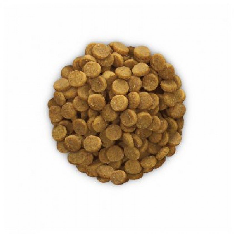 Hill's Prescription Diet k/d Canine Kidney Care Για Σκύλους 2kg ΞΗΡΑ ΤΡΟΦΗ ΣΚΥΛΟΥ Hill's Prescription Diet k/d Canine Kidney Care Για Σκύλους 2kg ΞΗΡΑ ΤΡΟΦΗ ΣΚΥΛΟΥ