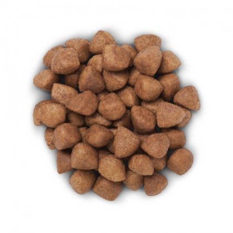 Hill's Prescription Diet Metabolic + Mobility Weight + Joint Care Για Σκύλους Με Κοτόπουλο 12kg ΞΗΡΑ ΤΡΟΦΗ ΣΚΥΛΟΥ Hill's Prescription Diet Metabolic + Mobility Weight + Joint Care Για Σκύλους Με Κοτόπουλο 12kg ΞΗΡΑ ΤΡΟΦΗ ΣΚΥΛΟΥ