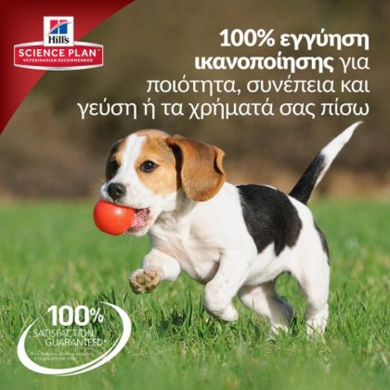 Hill's Science Plan Puppy Large Breed για Σκύλους με Κοτόπουλο 14,5kg (11,5kg +3kg Δώρο) ΣΚΥΛΟΙ Hill's Science Plan Puppy Large Breed για Σκύλους με Κοτόπουλο 14,5kg (11,5kg +3kg Δώρο) ΣΚΥΛΟΙ