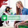 Hill's Science Plan Puppy Large Breed για Σκύλους με Κοτόπουλο 14,5kg (11,5kg +3kg Δώρο) ΣΚΥΛΟΙ Hill's Science Plan Puppy Large Breed για Σκύλους με Κοτόπουλο 14,5kg (11,5kg +3kg Δώρο) ΣΚΥΛΟΙ