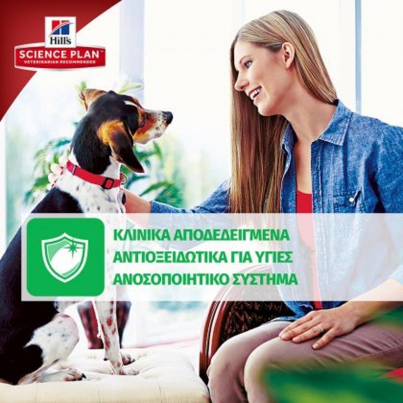 Hill's Science Plan Puppy Large Breed για Σκύλους με Κοτόπουλο 14,5kg (11,5kg +3kg Δώρο) ΣΚΥΛΟΙ Hill's Science Plan Puppy Large Breed για Σκύλους με Κοτόπουλο 14,5kg (11,5kg +3kg Δώρο) ΣΚΥΛΟΙ