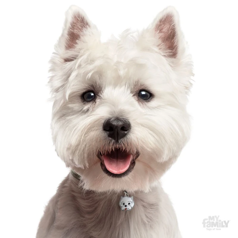 ΤΑΥΤΟΤΗΤΑ ΣΚΥΛΟΥ MY FAMILY WEST HIGHLAND WHITE TERRIER ΤΑΥΤΟΤΗΤΕΣ