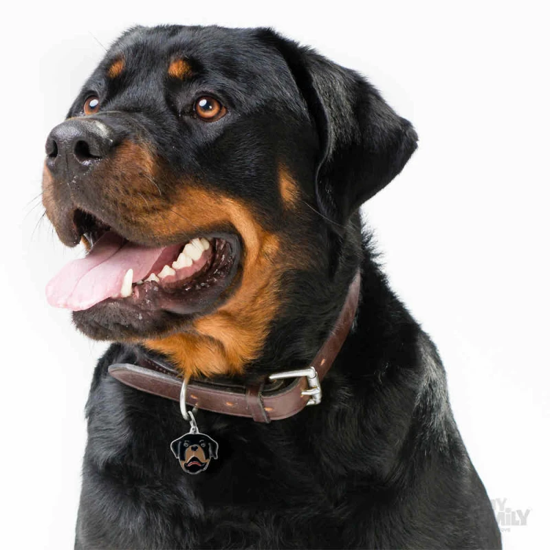 ΤΑΥΤΟΤΗΤΑ ΣΚΥΛΟΥ MY FAMILY ROTTWEILER ΤΑΥΤΟΤΗΤΕΣ