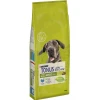Tonus Dog Chow Adult Large Breed Γαλοπούλα 14kg  Tonus Dog Chow Adult Large Breed Γαλοπούλα 14kg
