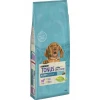 Tonus Dog Chow PUPPY Αρνί 14kg  Tonus Dog Chow PUPPY Αρνί 14kg