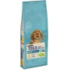 Tonus Dog Chow PUPPY Κοτόπουλο 14kg Tonus Dog Chow PUPPY Κοτόπουλο 14kg