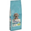 Tonus Dog Chow Puppy Large Breed Γαλοπούλα 14kg Tonus Dog Chow Puppy Large Breed Γαλοπούλα 14kg