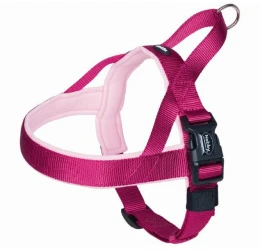 Nobby Νορβηγικό Επιστήθιο Classic Preno L (3,5X60-76cm) Βυσσινί Nobby Νορβηγικό Επιστήθιο Classic Preno L (3,5X60-76cm) Βυσσινί