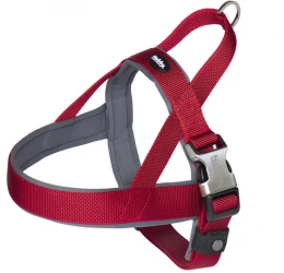 Nobby Νορβηγικό Επιστήθιο Classic Preno Royal S-M (2,5X38-50cm) Κόκκινο Nobby Νορβηγικό Επιστήθιο Classic Preno Royal S-M (2,5X38-50cm) Κόκκινο