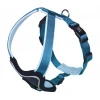 Nobby Ανατομικό Επιστήθιο M (25mmx45-50cm) Γαλάζιο Nobby Ανατομικό Επιστήθιο M (25mmx45-50cm) Γαλάζιο