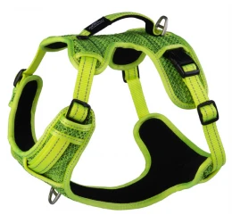 Σαμαράκι Σκύλου Rogz Explore Lime XLarge 2cm x 66-95cm Σαμαράκι Σκύλου Rogz Explore Lime XLarge 2cm x 66-95cm