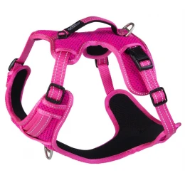 Σαμαράκι Σκύλου Rogz Explore Pink XLarge 2cm x 66-95cm Σαμαράκι Σκύλου Rogz Explore Pink XLarge 2cm x 66-95cm