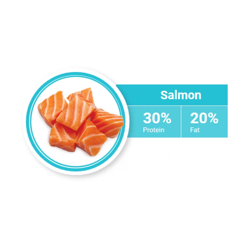 1st Choice Γάτας Healthy Skin & Coat 5,44kg ΓΑΤΕΣ 1st Choice Γάτας Healthy Skin & Coat 5,44kg ΓΑΤΕΣ
