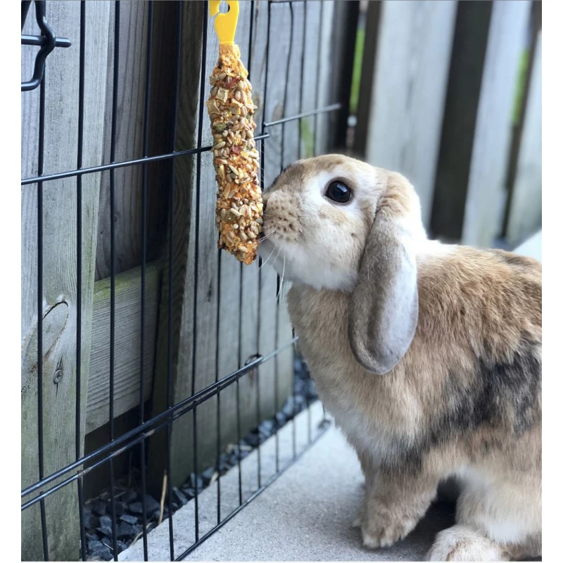 Lolo Rodent Sticks 90gr Πικραλίδα και Γιαούρτι ΤΡΟΦΕΣ ΚΟΥΝΕΛΙΩΝ