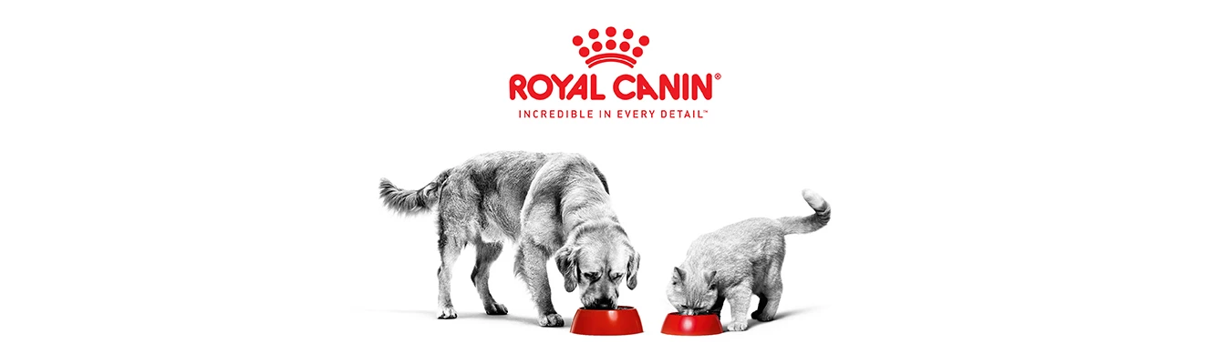 Τι είναι η Royal Canin και γιατί θεωρείται κορυφαία επιλογή
