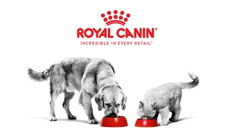 Τι είναι η Royal Canin και γιατί θεωρείται κορυφαία επιλογή