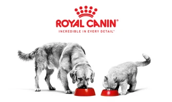 Τι είναι η Royal Canin και γιατί θεωρείται κορυφαία επιλογή