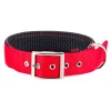 Περιλαίμιο Pet Interest Με Επένδυση S 1,6cm X 40cm Κόκκινο Περιλαίμιο Pet Interest Με Επένδυση S 1,6cm X 40cm Κόκκινο
