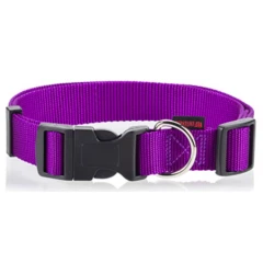 Περιλαίμιο Pet Interest Plain Line Medium 2x32-50cm Μωβ