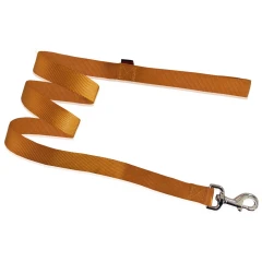 Οδηγός Ιμάντα Απλός L (2,5cm X 120cm) Χρυσό